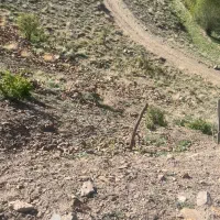 زمین یوش بلده|فروش زمین و ملک کلنگی|بلده, |دیوار