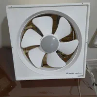 لوازم خانگی|مصالح و تجهیزات ساختمان|کلاله, |دیوار