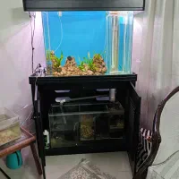 آکواریوم اورفلو با سامپ ۴ تیکه