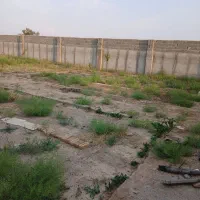 قطعه باغ در علیشاه