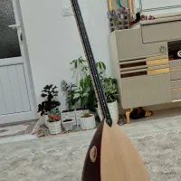 باغلاما  دیار ساز ترکیه