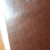 مدارک گم شده