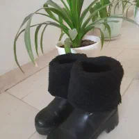 پوتین دخترانه|کیف، کفش، کمربند|ماهدشت, |دیوار