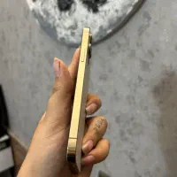 آیفون 12 pro max با حافظه ۲۵۶ گیگ|موبایل|رشت, باهنر|دیوار