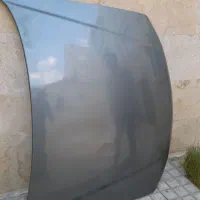 کاپوت پارس خاکستری