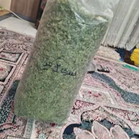 جعفری خشک