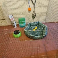 لوازم سگ وسایل سگ پت