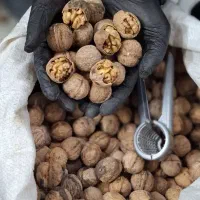 گردو تویسرکان کره بادام زمینی ارده کنجد عسل کشمش