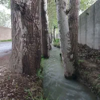 400مترباغ-سرسبز-کردان-درختی-لشگرآباد