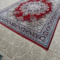فرش|فرش|مهاباد (آذربایجان غربی), |دیوار