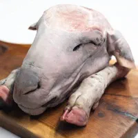 نیرو کله پاچه