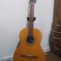 گیتار پارسی