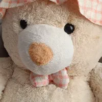 خرس ولنتاین|اسباب‌‌بازی|سلماس, |دیوار