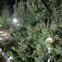 باغ ۵۰۰متری روستای نجم|فروش خانه و ویلا|مشهد, درزآب|دیوار