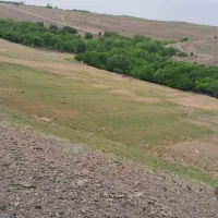 ویلا لاکچری ۵۰۰۰ متری