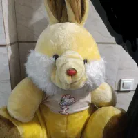 خرگوش دو‌رنگ در ابعاد ۶۰ سانت کاملا سالم