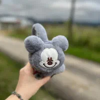 گوشگیر|لباس|رشت, دروازه لاکان|دیوار