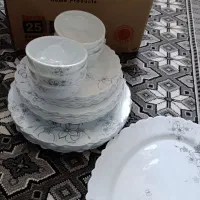 سرویس اکو پال