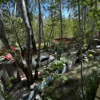 نیازمند اوستا بنا اتباع همه کار بلد