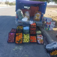 میوه وتر بار  قیمت شکن|عمده‌فروشی|اندیکا, |دیوار