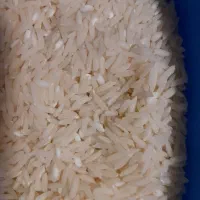 برنج هاشمی تازه
