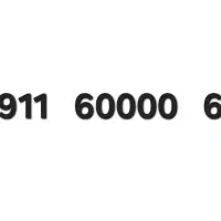 63 60000 0911