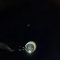 چاه کن|خدمات پیشه و مهارت|تبریز, |دیوار