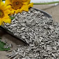 تخمه درجه 1|خوردنی و آشامیدنی|اصفهان, گلزار|دیوار