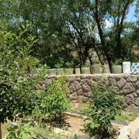 فروش باغچه ای ۵۰۰متری واقع در لواسان بزرگ ایرا