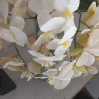 گلدون استیل وگل ارکیده