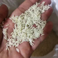 برنج سالم علی کاظمی