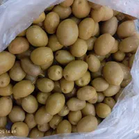 زیتون جنگلی|خوردنی و آشامیدنی|اهواز, کوی مهدیس|دیوار