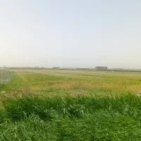 3200 متر زمین کشاورزی در محمد آباد قرچک|فروش زمین و ملک کلنگی|قرچک, محمد آباد|دیوار