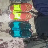 کیف و کفش