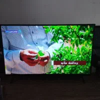 ال ای دی 43|تلویزیون و پروژکتور|پیر بکران, |دیوار