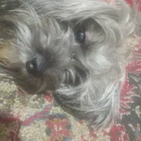 واگذاری فقط پول غدا