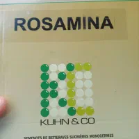 بذر چغندر  قند قزیرا