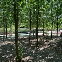 ویلای شیک رو با بهترین قیمت بخر