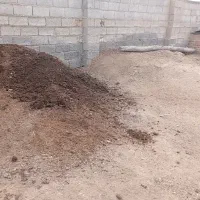 کود حیوانی خشک پودری