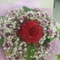 اجاره صندلی تا یک ماه رایگان