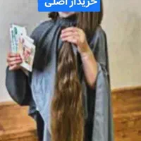 خرید موی طبیعی قیمت بالا خریدار مو میلیونی|آرایشی، بهداشتی، درمانی|مشهد, طلاب|دیوار