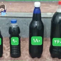 ریکای ذغالی