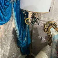 اباژور ایستاده زیبا