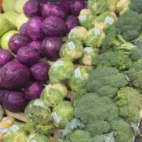 نیازمند همکار در میوه و سبزی فروشی مراغه