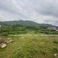 زمین پلاک۱ جنگل/۶۰۰۰متر/منطقه برند/۳۵متربر/برجسازی