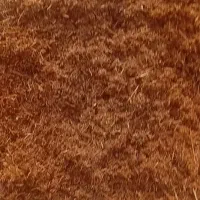 تولید خاک پالم پیت برای گلخانه و نئوپان وخوراک دام