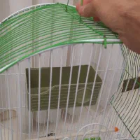 قفس پرنده|لوازم جانبی حیوانات|اسلام‌شهر, شهرک واوان|دیوار