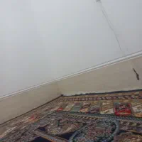 جارو برقی هیتاچی