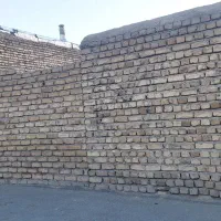 زمین نوبنیاد