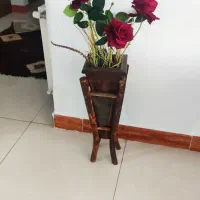 گل رز مخملی